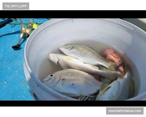 福建海钓锦标赛首次设立深海鱼种奖项 激发钓鱼爱好者新热情 福建海钓锦标赛首次设立深海鱼种奖项 激发钓鱼爱好者新热情